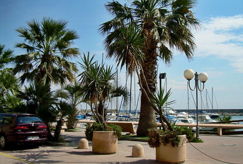 Les palmiers Ã  cÃ´tÃ© d'un port de San Bartolomeo al Mare