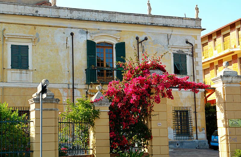 Fleurs Ã  cÃ´tÃ© d'une maison Ã  San Bartolomeo al Mare