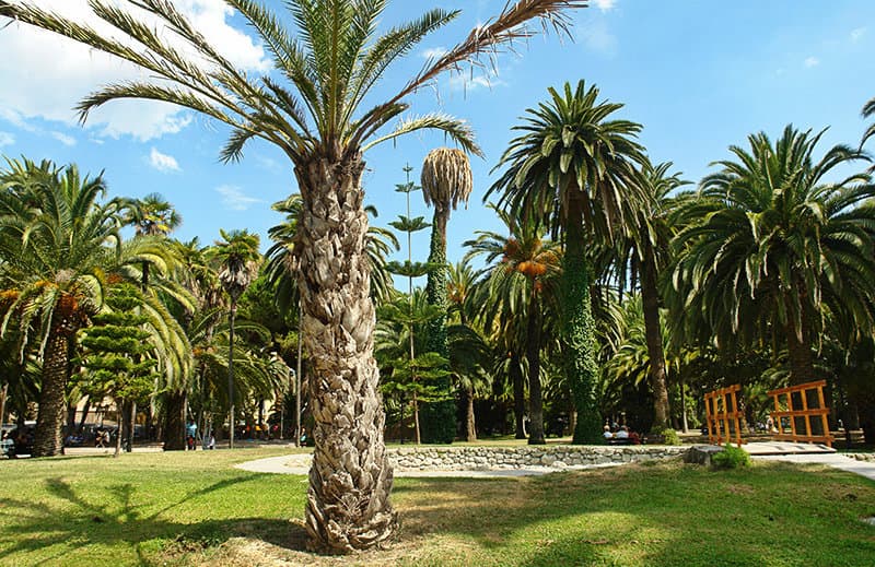 Un parc avec des palmiers dans le centre-ville de Vintimille